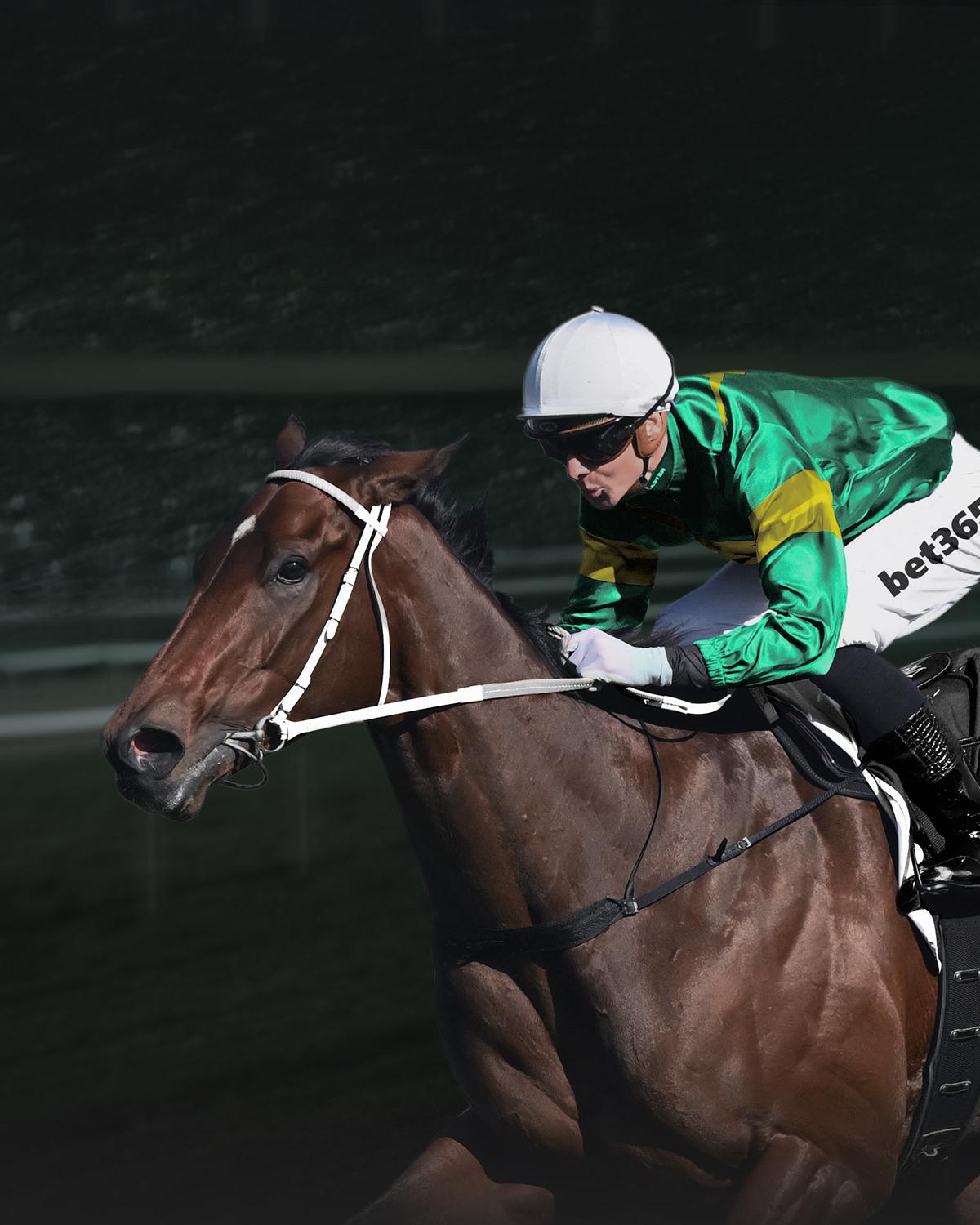 In Play Horse Racing