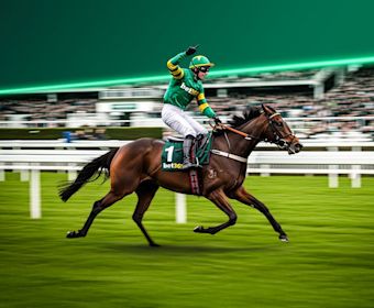 Cheltenham Imagery2